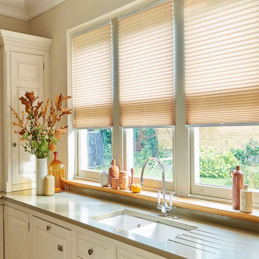 Pleated blinds in Exeter